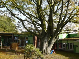 Außengelände Ev. Kindertagesstätte Fritz-Reuter-Straße Elmshorn