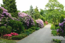 Grünanlage Friedhof Elmshorn